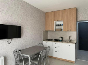 1-bedroom appartment in the centre of bakuriani 2